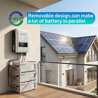 Baterai Lithium E-SUN 100ah 150ah 280ah Bebas Perawatan 24V 200ah Output Stabil Paket Baterai Lithium Cadangan untuk Pasar Rusia