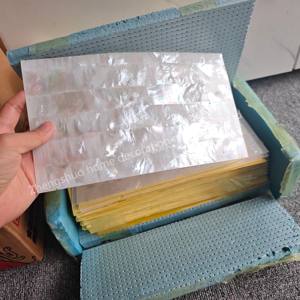 Hoja de nácar blanca de concha de mar <span class=keywords><strong>natural</strong></span> al por mayor de fábrica para muebles, instrumentos musicales, artesanías - Product Image 2