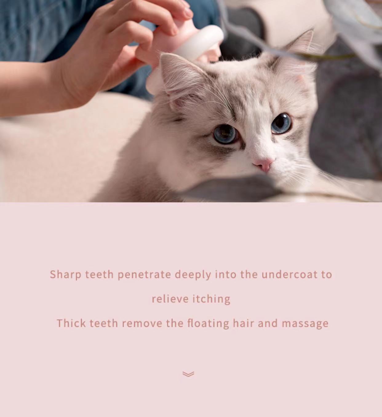 Pet Dog Cat Cleaning Brush Grooming Products Blue Green Pink Color