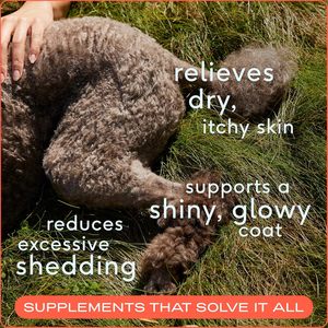 ओमेगा <span class=keywords><strong>3</strong></span> 6 9 मछली का तेल कुत्तों के लिए बिल्लियों के लिए स्वस्थ त्वचा चमकदार कोट कूल्हे जोड़ों को जंगली alaskan तेल तरल स्वास्थ्य पालतू पूरक के साथ - Product Image 3