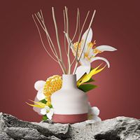 Mescente Vente en gros Bâtonnets de rotin de luxe personnalisés Ensembles de diffuseur de roseaux de parfum avec boîtes d'emballage