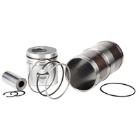 Wellfar OEM ODM 114mm 6CT liner kit 3919564 3948095 Piston 3802429 Piston Ring Diesel moteur 6bt cylindre liner pour cummins