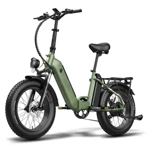 אופניים חשמליים מתקפלים 48v 13ah 750w / 250w 20 אינץ' צמיגי שמן מתקפלים לרכב לשטח חשמלי עירוני מדרגות אופני נוסעים לנשים
