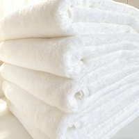 Série de serviettes HongYa modernes tissées 100 % coton écologiques, best-seller, pour une utilisation en toutes saisons, lavables en machine