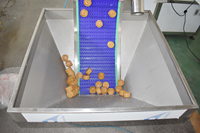 Machine de bouchage entièrement automatique pour bouteilles d'huile de cuisson/huile de palme/huile de sésame/sauce soja/vinaigre avec élévateur de bouchons et capuchons en plastique à pression