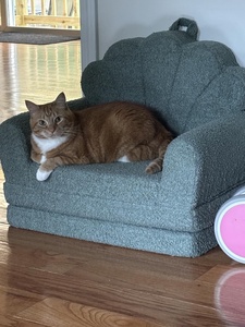 A buon mercato <span class=keywords><strong>per</strong></span> i bambini pieghevole divano letto modulare Kawaii lettino <span class=keywords><strong>per</strong></span> bambini bambino pieghevole Mini sedia letto <span class=keywords><strong>per</strong></span> bambini bambino Sprog camera - Product Image 4