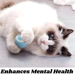 Jouet interactif pour chien et chat, balle roulante intelligente silencieuse en caoutchouc de luxe, rechargeable par USB - Product Image 3