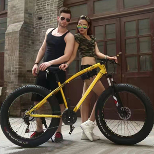 Bicicleta de Montaña con Llantas Gruesas 4.0, Diseño de Cuadro de Acero para Nieve y Arena, Precio de Fábrica en China, Personalización Disponible - Product Image 5