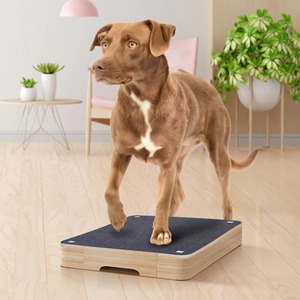 Planche à gratter pour ongles de chien Hovicaed, unique, pour tous les chiens, planche à gratter pour ongles, lime à ongles pour chien, jouet - Product Image 2