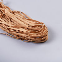 Nouvelle conception, économique, plusieurs couleurs au choix, bande de garniture pour vêtements, bande élastique en nylon, sangle élastique personnalisée en spandex pour la taille