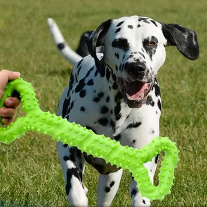 لعبة عظم الكلب TPR Pet ، قضيب مولي للحيوانات الأليفة مع نتوء تنظيف لتنظيف أسنان الكلب