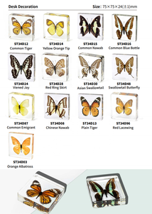 تحنيط فراشة في راتنج مستجدات عينة حقيقية للفتيان والفتيات هدايا للعودة إلى المدرسة والتخرج - Product Image 5