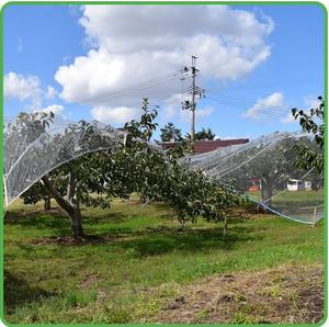 Tissu <span class=keywords><strong>anti</strong></span>-moustiques <span class=keywords><strong>anti</strong></span>-insectes en HDPE vierge 100% protégé contre les UV <span class=keywords><strong>pour</strong></span> la protection des plantes, vente en gros - Product Image 3