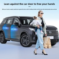 Compatible avec le système de porte à aspiration électrique Smart-Lock Pathfinders fabriqué en Chine pour OLIVER