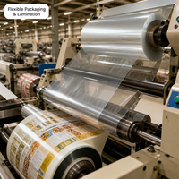 Film d'isolation personnalisé en polyester PET Mylar BOPET Classe E 120C haute diélectricité pour transformateur à fentes de moteur 6020 6021