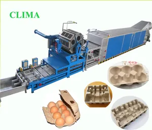 Máquina de fabricación personalizada, máquina para hacer bandejas de huevos de papel usadas, moldeadora de pulpa
