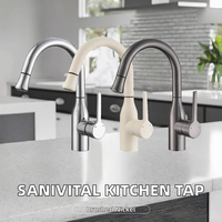 Robinet de cuisine extractible en acier inoxydable brossé, mitigeur moderne à poignée unique avec douchette 2 fonctions pour éviers de cuisine