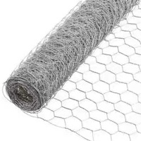 Treillis métallique hexagonal galvanisé électrique de haute qualité pour clôture ferme filet de maille de poulet filet de volaille hexagonal poulailler