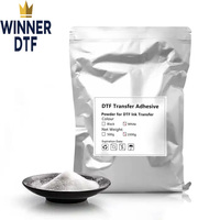 Winner DTF Poudre adhésive Prix d'usine Poudre thermofusible blanche 1kg Dtf Poudre thermofusible pour impression par transfert de chaleur Dtf
