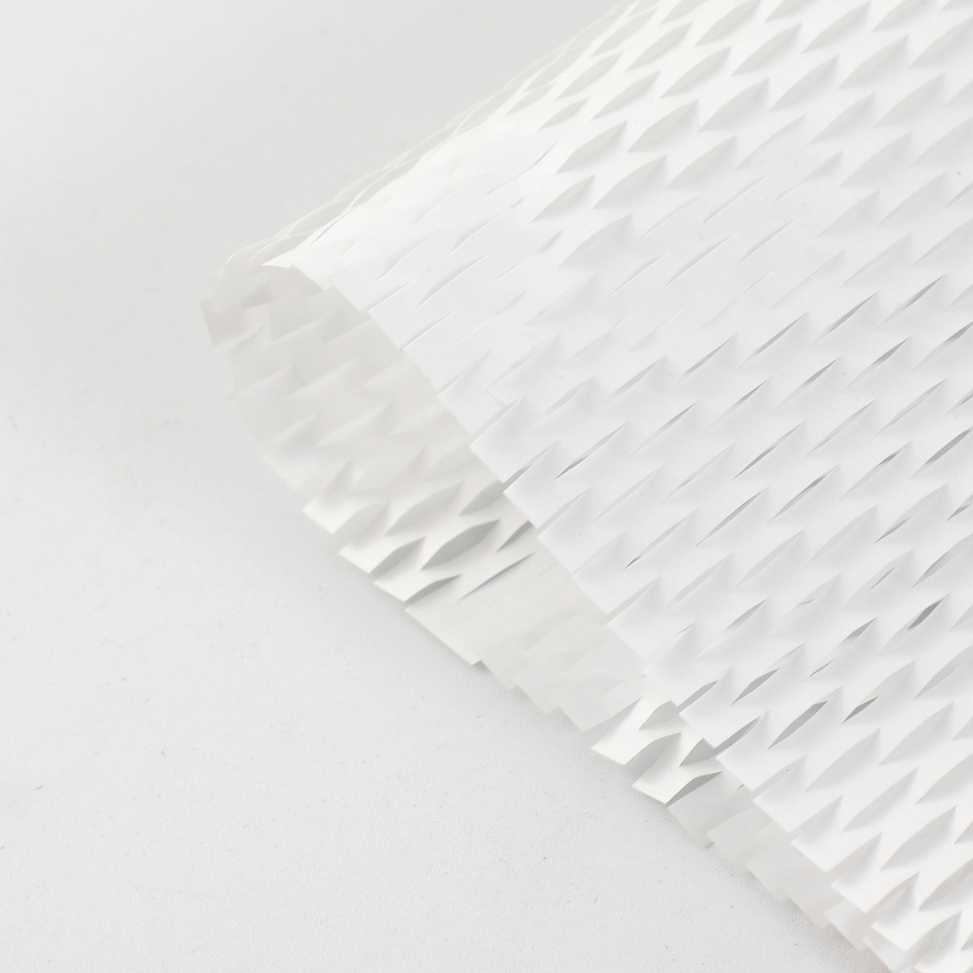 5040cm 10 feuilles blanc crème