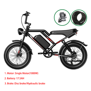 <span class=keywords><strong>Bicicleta</strong></span> <span class=keywords><strong>Eléctrica</strong></span> de Montaña Precios <span class=keywords><strong>1000W</strong></span> 250W 2000W Fatbike al por Mayor <span class=keywords><strong>Bicicleta</strong></span> de Pedaleo Asistido con Llantas Anchas de 20 Pulgadas - Product Image 2