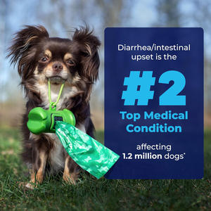 Nourriture pour chiens et chats, nourriture pour le pancréas, avec glucosamine, vitamines et minéraux - Product Image 4