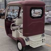 Tricycle de loisirs au design moderne avec moteur électrique sans balais, frein à disque, cabine fermée avec toit, batterie au lithium amovible 60V