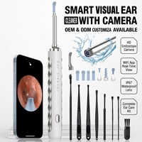 Caméra auriculaire WiFi 1080P étanche IP67, outil de nettoyage d'oreilles visuel sans fil nouvellement amélioré, kit de soins auriculaires 8 pièces pour l'élimination du cérumen