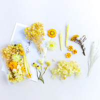 D070 Fleurs séchées DIY, mélange de couleurs multiples, fleurs préservées, souffle de bébé, rose, gypsophile, boîte de fleurs préservées