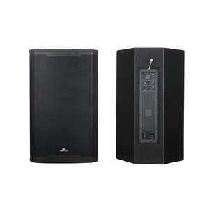 Haut-parleur actif large de 15 pouces en bois noir <span class=keywords><strong>Leon</strong></span> Audio, 2 voies, haute qualité, utilisation universelle multi-scénarios - Product Image 1