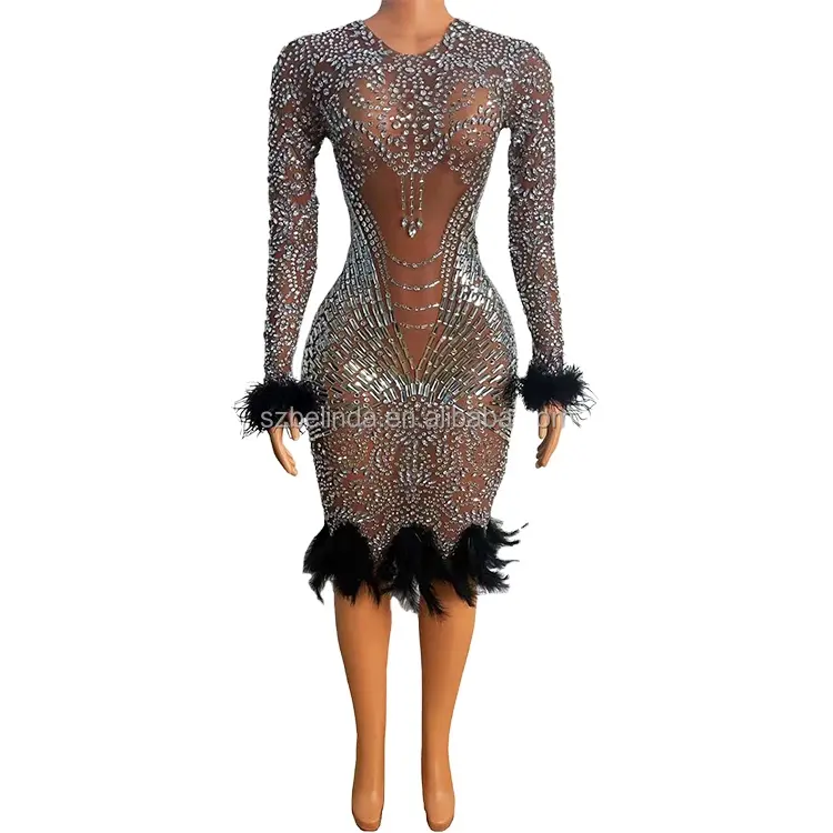 Robe de soirée en Spandex multicolore avec strass, plumes argentées, tenue courte pour fête d'anniversaire, tenue à franges, robe de danseuse