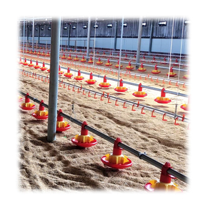 Offre Spéciale 10000 oiseaux poulailler hangar volaille poulet équipement de ferme avec mangeoire et abreuvoir - Product Image 4