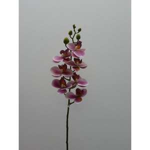 PHALENO MINI SPRAY X7 LV AUT - Product Image 1