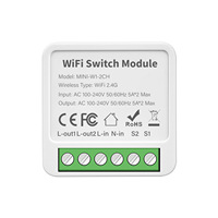 TUYA Zigbee wifi 16A Mini interrupteur intelligent bricolage Module de commutateur mural relais avec moniteur d'alimentation prise en charge de la commande vocale bidirectionnelle alexa
