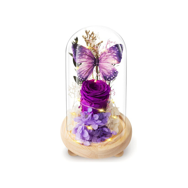 Viola