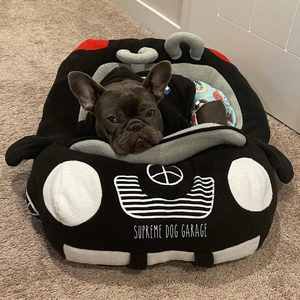 bmw dog bed