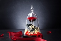 Rose éternelle préservée sous cloche en verre, longue durée (3-5 ans), cadeau idéal pour la Fête des Mères, la Saint-Valentin et Noël pour femmes - Offre Spéciale