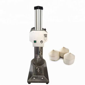 Presse-agrumes à spirale électrique professionnel en acier inoxydable 304 pour pomme poire Orange-220V/380V 1 an de garantie - Product Image 5