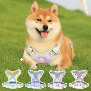 2025 produk baru diskon besar kalung leher kucing anjing peliharaan Kawaii harness untuk luar ruangan - Product Image 2