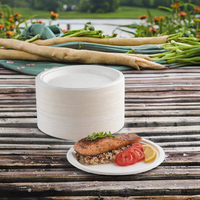 Assiettes de fête jetables biodégradables et compostables de 10 pouces, robustes et réutilisables, en pulpe de bagasse de canne à sucre, sûres