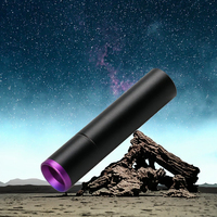Mini lampe torche UV LED rechargeable 365 nm, corps en alliage d'aluminium, rechargeable par USB, indice de protection IP55, porte-clés, pour la peau des animaux, teigne