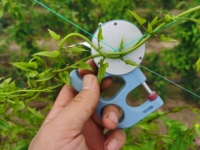 Offres de réduction Fabricant professionnel Filet de soutien en plastique agricole pour les cultures lourdes telles que les melons suspendus