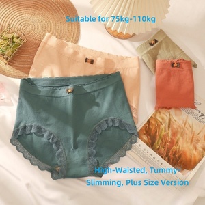 Slip a triangolo sottile in grafene senza cuciture, taglio alto, traspirante, con finiture in pizzo, per donne curvy (75-110 kg) - Product Image 2