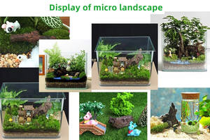 Drijfhout Diverse takken Bonsai Aquarium Natuurlijk drijfhout Drijfhout Accessoires Reptiel Decoratie Ornament - Product Image 2