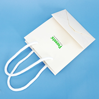 Sacs en carton ivoire personnalisés au prix d'usine pour le shopping, sacs en papier recyclable pour l'emballage de vêtements