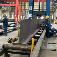 Pabrik Cina Solusi Komponen Baja Kustom Bangunan Bengkel Struktur Baja untuk Pabrik Aluminium Elektrolitik