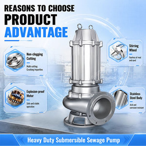 <span class=keywords><strong>Pompe</strong></span> centrifuge submersible en acier inoxydable de type WQ, fonctionnement stable, <span class=keywords><strong>pompe</strong></span> de relevage des eaux usées - Product Image 3