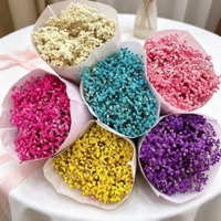 Fleur de Gypsophile Préservée Grande et Séchée Faite à la Main Marque KS pour Mariage, Saint-Valentin, Nouvel An, Thanksgiving