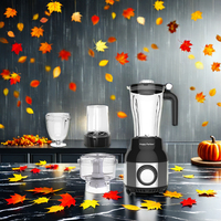 Happy Partner Mélangeur électrique en plastique ABS fabriqué en Chine Mélangeur de jus pour smoothies-Polyvalent pour la cuisine à domicile Utilisation dans l'hôtel