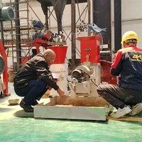 Machine extrudeuse de granulés d'aliments flottants pour poissons Lima pour la production de tilapias, crevettes, poissons-chats et aliments pour animaux de compagnie - Fabricant